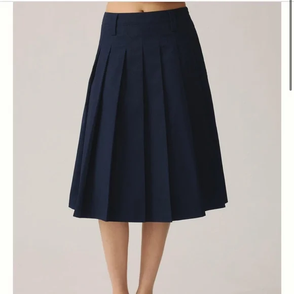 Anthropologie Pleated Midi Skirt - Picture 3 of 15